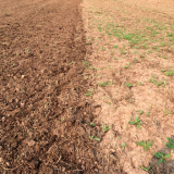 Борьба с гербицидной устойчивостью с экономически эффективным контролем над сорняками