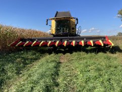 Кукурузные жатки Olimac  - Уборка 2020 новыми кукурузными жатками OLIMAC DRAGO